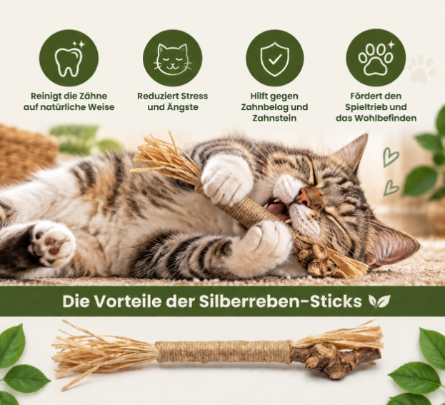 Natural Silvervine Dental Sticks