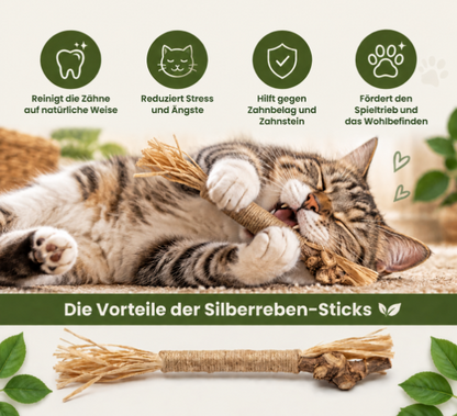 Natural Silvervine Dental Sticks