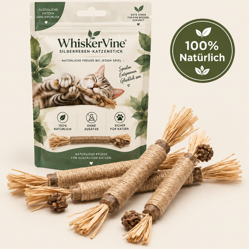 Natural Silvervine Dental Sticks